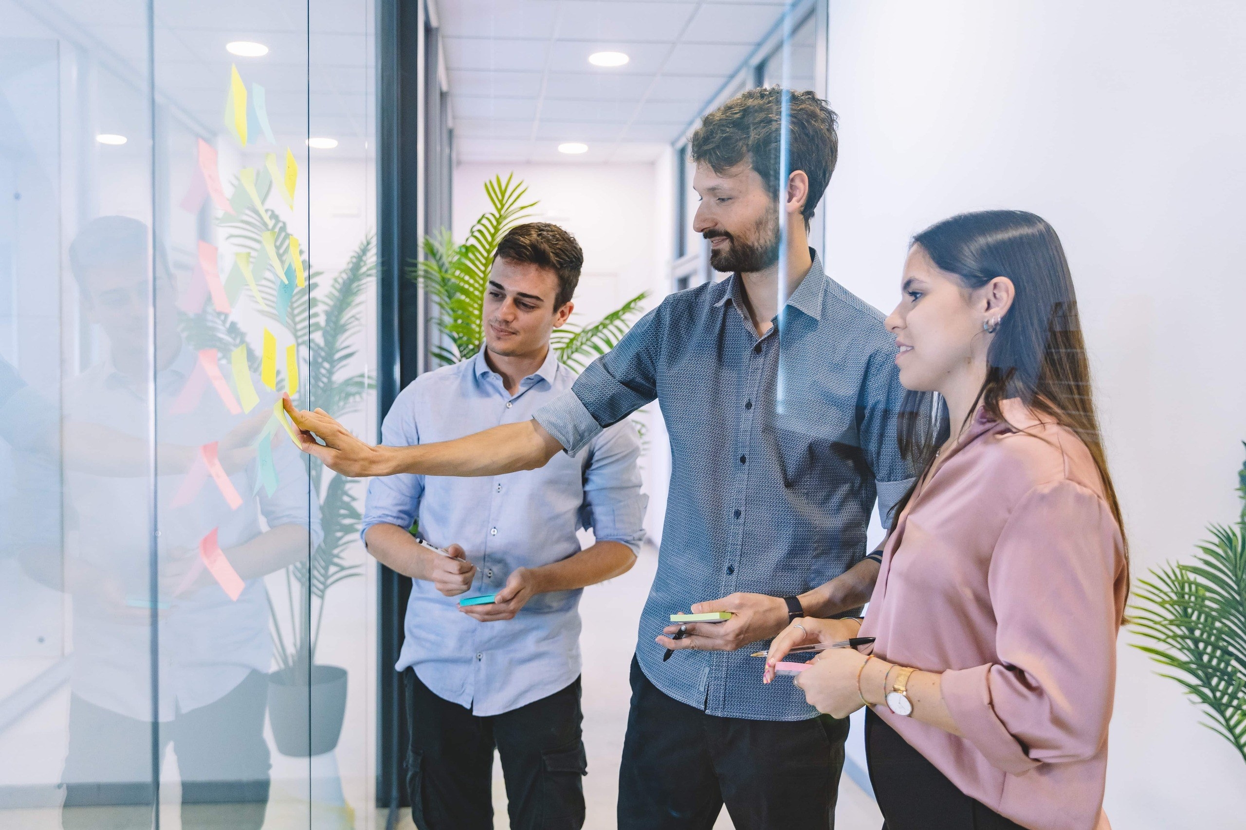 Immagine di presentazione sezione sito web